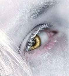 an extreme close up shot of the eye of a white - haired woman with golden eyeshadow