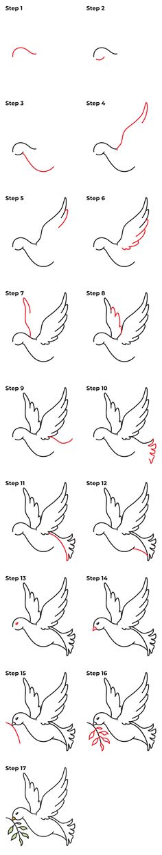 the instructions for how to draw doves in different positions and sizes, including wings