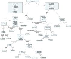 a flow diagram with several different types of words and numbers on it, including the main parts