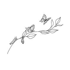 a line drawing of two butterflies on a twig