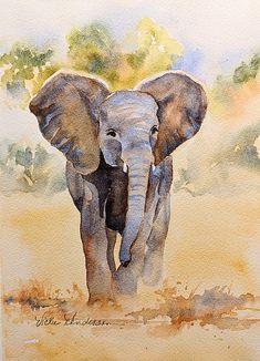 an elephant is standing in the dirt near trees