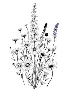 an ink drawing of wildflowers and lavender