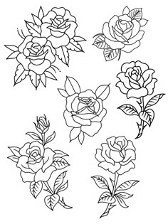 several roses with leaves on them are drawn in black and white