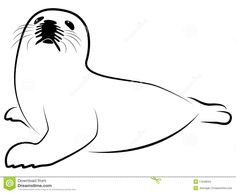 an animal seal in black and white on a white background stock photo - image 3497