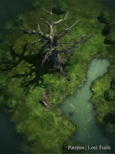 an aerial view of a swampy area with trees
