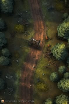 an aerial view of a dirt road in the woods
