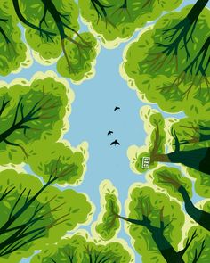 an overhead view of trees with birds flying in the sky