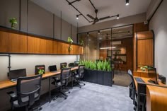 an office cubicle with desks and plants