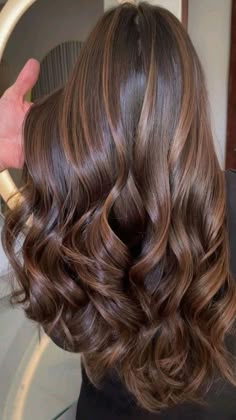 Light Brown Hair Highlight Ideas, Honey Brown Colour, Brown Hair Colours Ideas, Chocolate With Highlights Hair, Women Hair Color Ideas Highlights, Hair Inspo Color Light, Dark Brown Hair With Chocolate Highlights, Milk Chocolate Brown Hair With Highlights, Brown Girls Hair Color Ideas