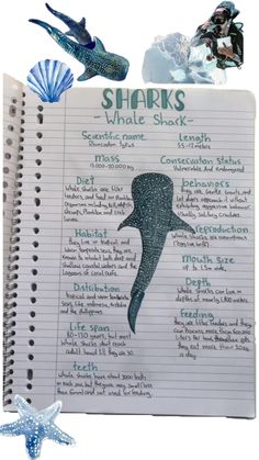 a notebook with some writing on it and an image of a shark in the ocean
