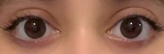Doe Eyes Brown, Rounded Eyes, Doe Eye, Doe Eyes Aesthetic, Big Eyed, Wide Eyes, Eye Photos, Black Eyes Aesthetic, Eyes Brown