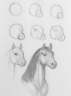 several different types of horses'heads and their manes are shown in this drawing