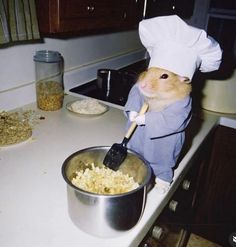 a hamster in a chef's hat is stirring some food