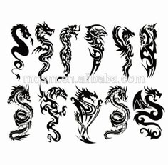 dragon tattoo designs on white background