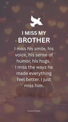 a quote that says i miss my brother