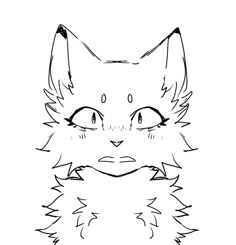 a black and white drawing of a cat's face