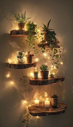 three shelves with candles and plants on them are lit by fairy lights in the corner