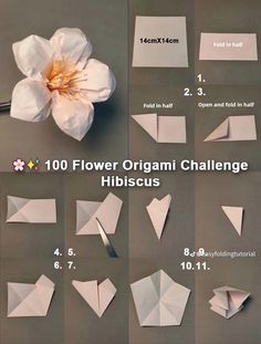 how to make origami flowers with the instructions for making them look like they are floating