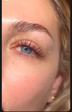 Natural False Lashes Extensions, False Lashes Extensions, Basic Lashes, Lashes Ideas Natural, Natural Lash Cluster, Wispy Fake Lashes, Wispy Hybrid Eyelash Extensions, Really Natural Lash Extensions, Lash Map For Natural Lashes