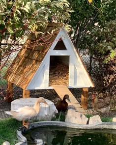 two ducks are standing in front of a small house with a pond and steps leading up to it