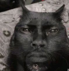a black cat with horns on it's head looking at the camera