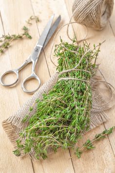 a pair of scissors sitting on top of a wooden table next to some green plants