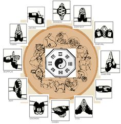 a circular diagram with images of people doing yoga
