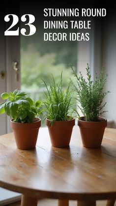 This pin showcases 23 round dining table decor ideas to refresh your space. The image highlights a round table centerpiece with terracotta pots and fresh herbs. Discover inspiring table decoration ideas to elevate your home decor with these round dining table inspirations.