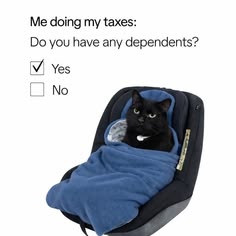a black cat sitting in a car seat with a blue blanket on it's back