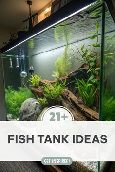 a fish tank with plants and rocks in the background text reads 21 + fish tank ideas get inspired