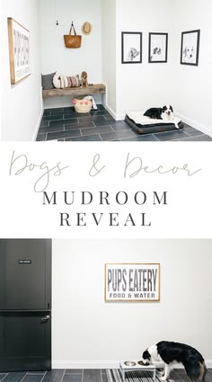 the dog and cat room is clean and ready for us to use