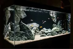 an aquarium with rocks and fish in it
