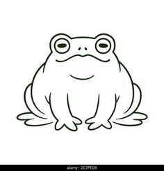 a frog sitting on the ground with eyes wide open