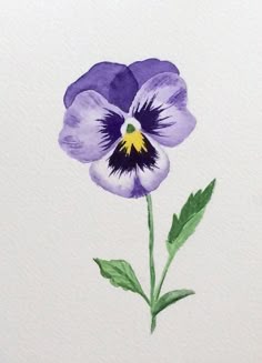 a watercolor painting of a purple pansy flower with green leaves on the stem