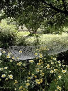 a hammock in the middle of a field full of daisies