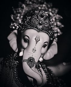 an elephant is adorned with jewels on its face and trunk, in black and white