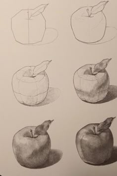 pencil drawings of different types of apples