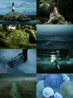 a collage of photos with different scenes including water, grass and a light house
