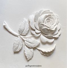 a white rose with leaves on a white background