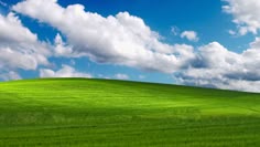 a green field under a blue sky with fluffy white clouds in the distance and a lone tree on top