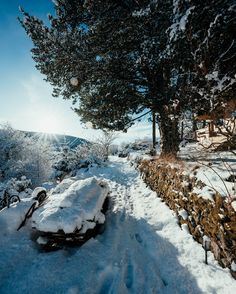 a bench is covered in snow next to some trees and bushes on a sunny day