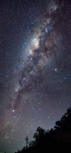 the night sky is filled with stars and bright lights, as well as some trees