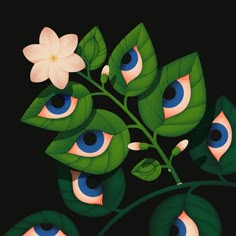 an eyeballed plant with leaves and flowers in the foreground, on a black background