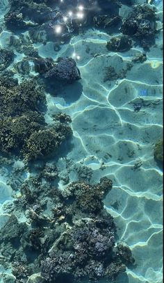 the water is crystal clear and there are some rocks in the middle of the ocean