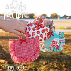 two handmade purses hanging from clothes line in field with text overlay that reads free sewing pattern tiny tote