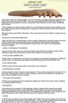 Demodex Mites, Luscious Lashes, Medical Science, Skin Issues, Eye Makeup Remover, Dry Eyes, Foam Cleanser, Hair Follicle, Lash Extensions