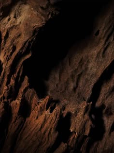 a close up view of the surface of a rock formation, with dark lighting coming from it
