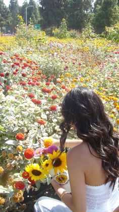 a woman kneeling down in a field of flowers