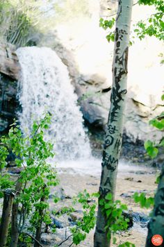 there is a small waterfall in the background with trees around it and an orange fire hydrant on the ground