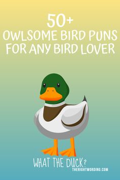 a duck with the words 50 + owlsome bird puns for any bird lover